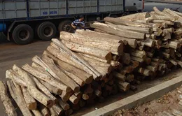 Hàng loạt mặt hàng xuất nhập khẩu sẽ thay đổi thuế suất