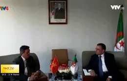 Tăng cường hợp tác Việt Nam - Algeria
