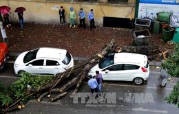 Tháng 4, cần đề phòng các hiện tượng thời tiết nguy hiểm