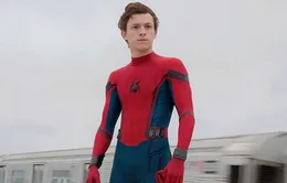 Bạn đã biết gì về Người Nhện trong Spider-Man: Homecoming?