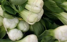 Những thực phẩm ăn chay giàu sắt hơn thịt
