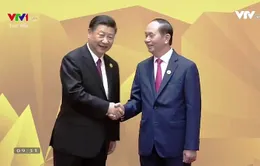 VIDEO: Chủ tịch nước Trần Đại Quang đón lãnh đạo các nền kinh tế APEC tại Đà Nẵng