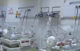 Vụ 4 trẻ sơ sinh tử vong ở Bắc Ninh: Chuyển các bệnh nhi lên tuyến trên để khử khuẩn bệnh viện