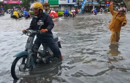 TP.HCM đề nghị không sử dụng vốn vay của WB để thực hiện dự án chống ngập