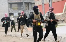LHQ thông qua nghị quyết trừng phạt các thực thể liên quan tới IS