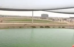 Nông nghiệp trên sa mạc tại UAE