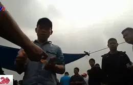 Đá gà ăn tiền ngay giữa... Hội Lim