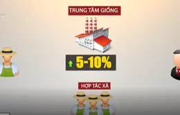 Liên kết nông dân với doanh nghiệp trong sản xuất, tiêu thụ nông sản