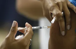 Brazil thực hiện chiến dịch tiêm vaccine ngừa bệnh sốt vàng da