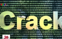 Tràn lan người dùng crack phần mềm bản quyền