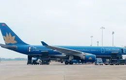 Vietnam Airlines dự kiến điều chỉnh kế hoạch bay do bão Hato