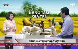 "Việt Nam không thể tiếp tục sản xuất, xuất khẩu gạo bằng mọi giá"