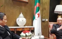 Phát triển mối quan hệ Việt Nam - Algeria lên tầm cao mới