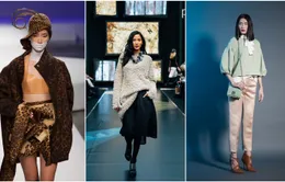 Vietnam's Next Top Model mùa 8 thêm cơ hội cho các người mẫu chuyên nghiệp