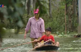 Người dân vùng lũ Chương Mỹ vất vả ổn định cuộc sống