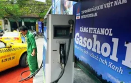 Ethanol sản xuất trong nước đắt hơn 800 đồng/lít so với nhập khẩu