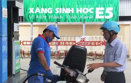 “Xăng E5 đảm bảo chất lượng nhưng cần kiểm soát gian lận thương mại và buôn lậu”