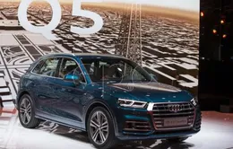 Hàng trăm nghìn xe Audi Q5 bị triệu hồi để khắc phục lỗi tiềm ẩn