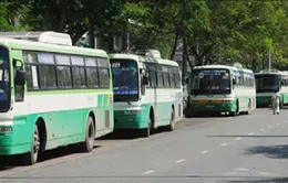 TP.HCM tăng hơn 1.200 chuyến xe bus phục vụ Tết Dương lịch