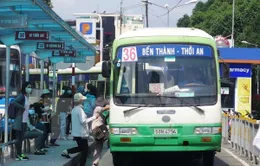 TP.HCM thí điểm 2 đường có làn riêng dành cho xe bus