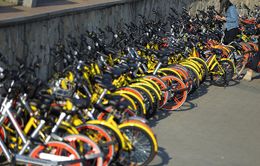 Mobike và Ofo lên kế hoạch sáp nhập dịch vụ xe đạp chia sẻ