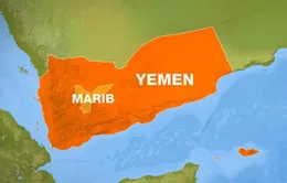 Mỹ tiêu diệt 7 tay súng Al-Qaeda tại Yemen