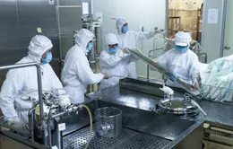 Vaccine sởi - rubella của Việt Nam sẽ được đưa vào chương trình tiêm chủng mở rộng
