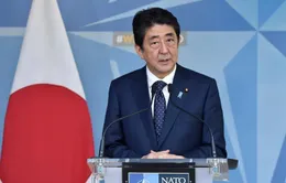 Thủ tướng Shinzo Abe giành nhiều ủng hộ trong cuộc bầu cử chủ tịch đảng cầm quyền