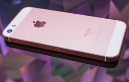 iPhone SE 2 có thể ra mắt ngay trong tháng 5