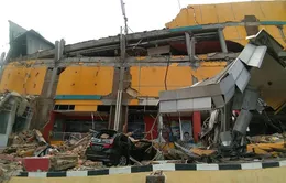 Số người chết vì động đất, sóng thần ở Indonesia vượt quá 1.200 người