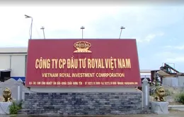 Cấp tên doanh nghiệp trùng nhãn hiệu đã được bảo hộ - Trách nhiệm thuộc về ai?