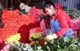 Giá hoa hồng Đà Lạt đạt mức cao nhất trong 3 năm qua