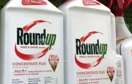 “Lơ lửng” án phạt 289 triệu USD dành cho Monsanto