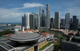 Singapore duy trì chính sách tiền tệ thắt chặt