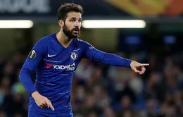 Fabregas sẽ hồi hương hè tới?