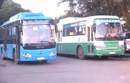 TP.HCM: Xe bus sạch khốn đốn vì chưa có tiền trợ giá