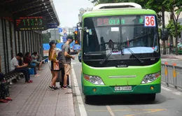 Điều chỉnh tăng giá vé xe bus trợ giá tại TP.HCM