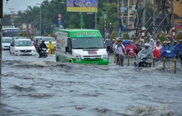 Sụt lún - Nguyên nhân hàng đầu gây gia tăng triều cường ở ĐBSCL