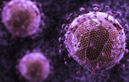 Gia tăng số người nhiễm HIV ở Trung Quốc