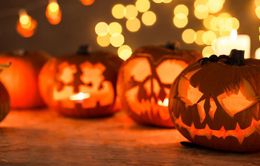 Xu hướng tìm kiếm của người Việt trong dịp lễ Halloween?