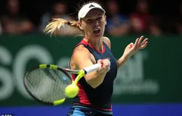 ĐKVĐ Wozniacki sớm dừng bước tại WTA Finals 2018