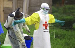 Dịch Ebola bùng phát ở Congo, 170 người tử vong