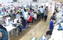 Một đôi giày "Made in Vietnam" xuất khẩu được làm ra như thế nào?