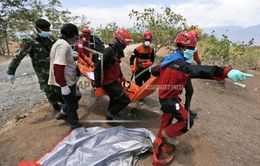 Indonesia: Thiết lập trang web tìm người thân bị lạc sau động đất