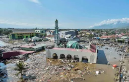 “Lực bất tòng tâm” tại tâm chấn động đất, sóng thần Indonesia