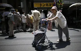 Già hóa, tỷ lệ sinh thấp được coi là quốc nạn tại Nhật Bản