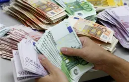 Nga có thể sử dụng đồng Euro trong thương mại với EU