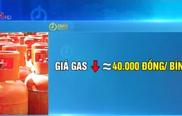 Giá gas giảm từ hôm nay (1/11)