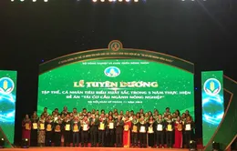 Tái cơ cấu ngành nông nghiệp: Bài học của sự vào cuộc các cấp từ trung ương đến địa phương