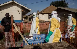Dịch Ebola tại CHDC Congo có nguy cơ vượt khỏi tầm kiểm soát